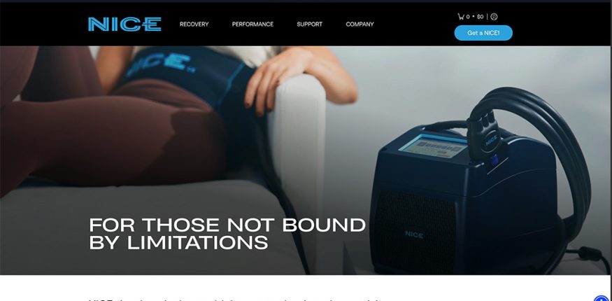 NICE Recovery Systems site preview